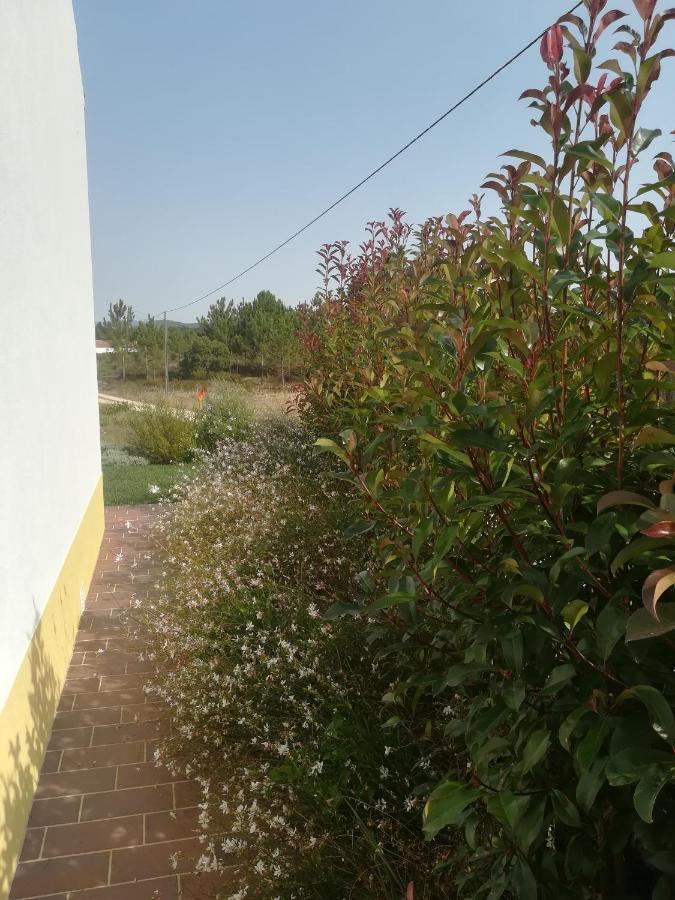 אלג'זור Vila Lira מראה חיצוני תמונה