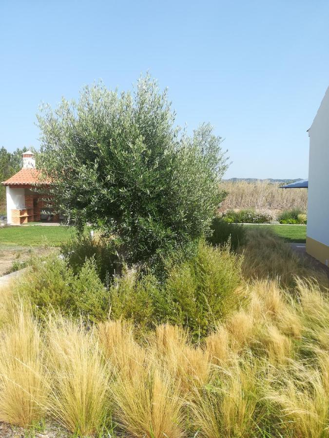 אלג'זור Vila Lira מראה חיצוני תמונה