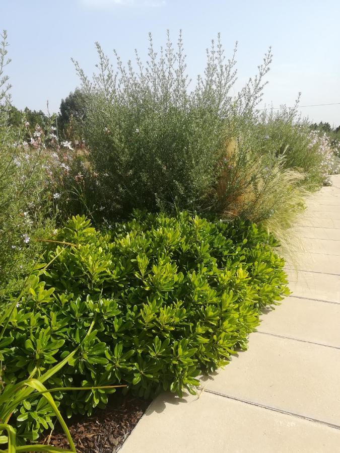 אלג'זור Vila Lira מראה חיצוני תמונה